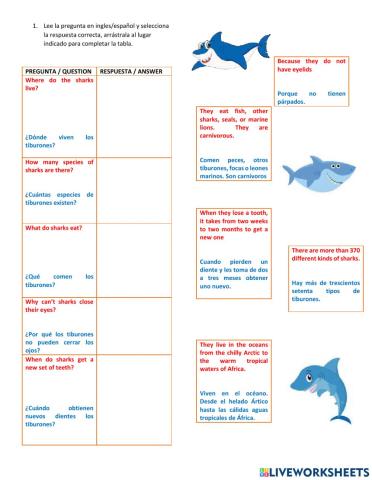 Sharks questions pt2