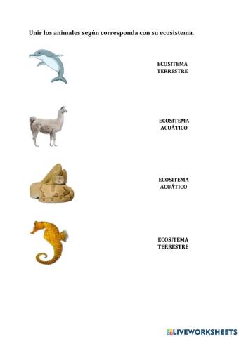 Adaptaciones de plantas