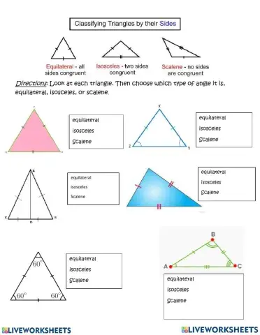 Types of Triangle