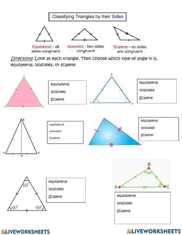 Types of Triangle