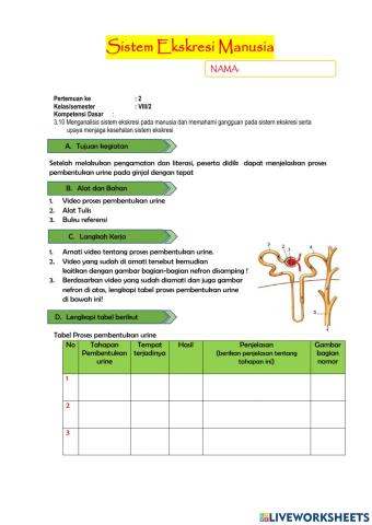 LKPD pembentukan urine