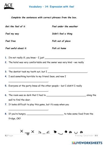 YL 11 - Unit 14 - Expressions with Feel