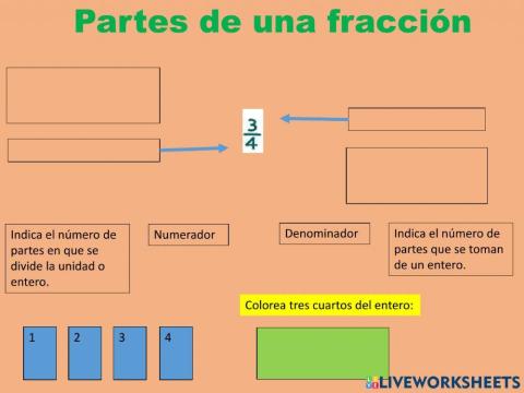 Partes de una fracción
