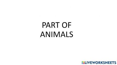 Part of animal