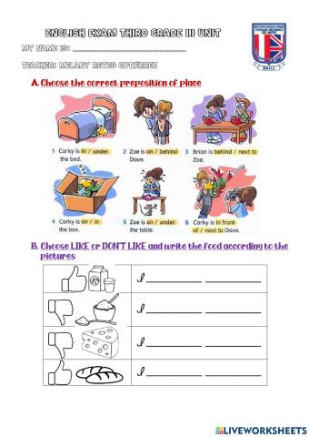Third Grade Exam III Unit