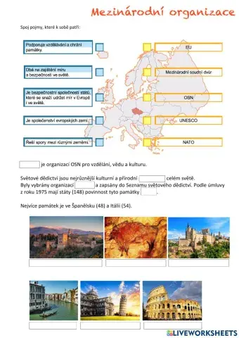 Mezinárodní organizace a UNESCO