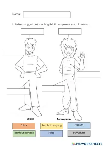 Perbezaan lelaki dan perempuan