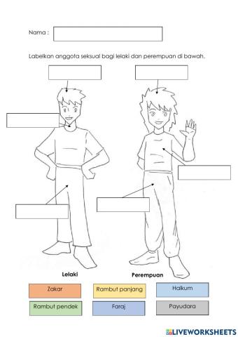Perbezaan lelaki dan perempuan