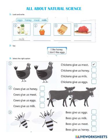 Al about nature science - activities