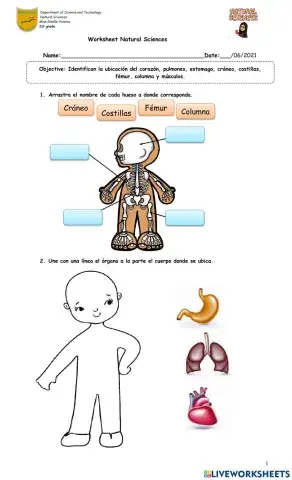 Worksheet Natural Sciences