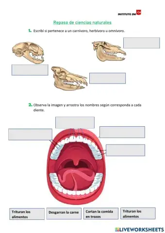 Ciencias naturales: repaso