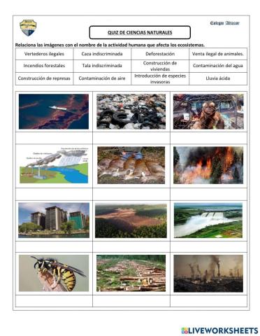 Efectos del  la actividad humana en los ecosistemas