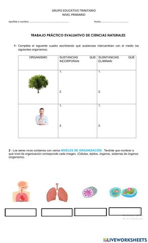 Trabajo Práctico Evaluativo