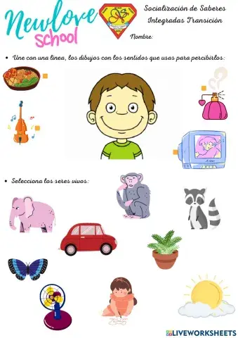 Socialización de Saberes de Integradas