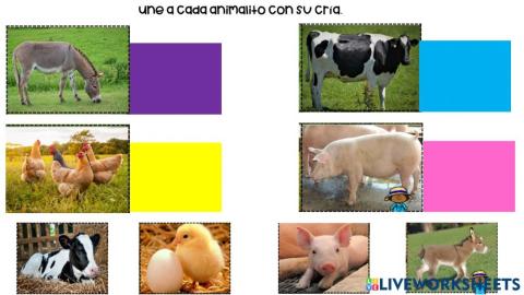 Animales y sus crias