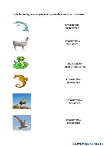 Adaptaciones de plantas y animales