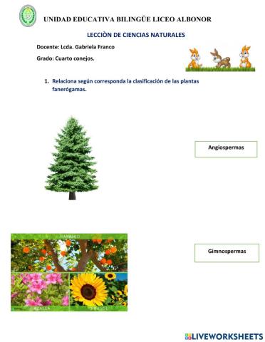 Plantas fanerógamas y polinización