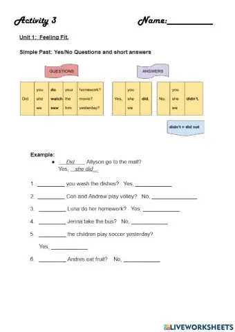 Activity 3: Did questions