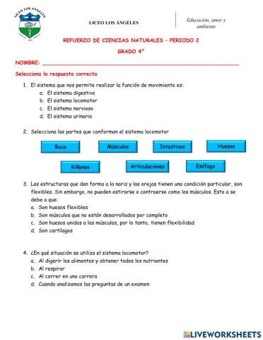 Refuerzo CN 4° - P2