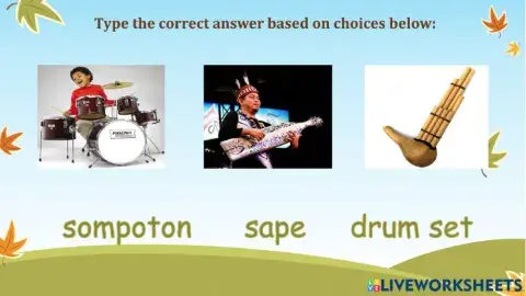 Musical Instruments Year 5