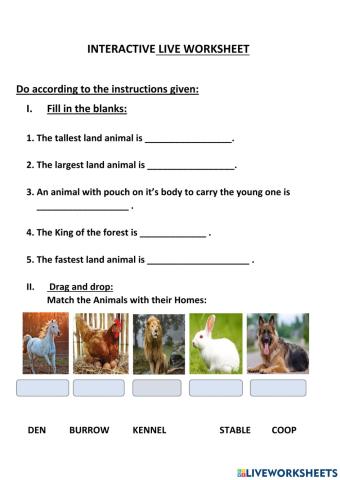 Interactive Live Worksheet -GK