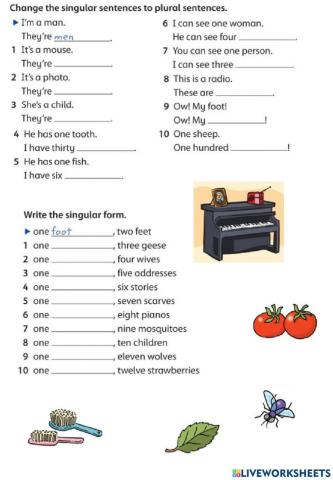 Plural Nouns