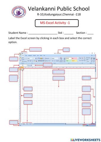 Ms-Excel Window