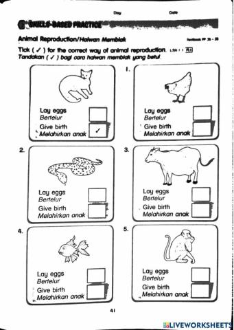 Animal reproduction