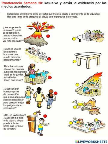 C.N-Transferencia Semana 20