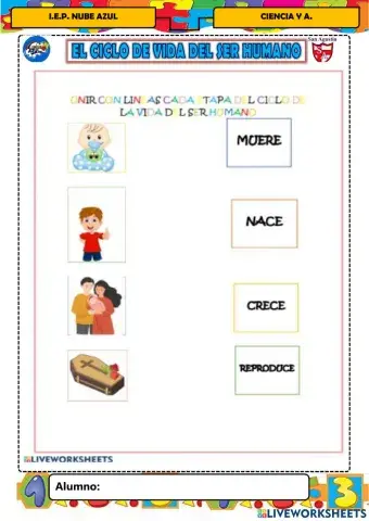 Ciclo de vida del ser humano