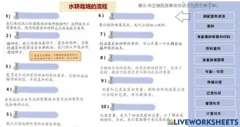 六年级 设计与工艺 rbt 单元二 种在水上的植物