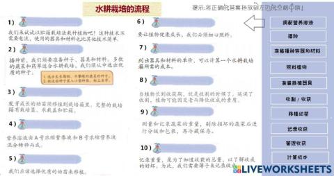 六年级 设计与工艺 rbt 单元二 种在水上的植物