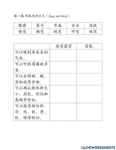一年级科学-感觉器官与官能