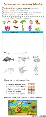 Animales vertebrados e invertebrados