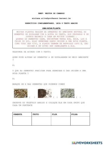 Exercícios das plantas