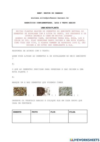 Exercícios das plantas