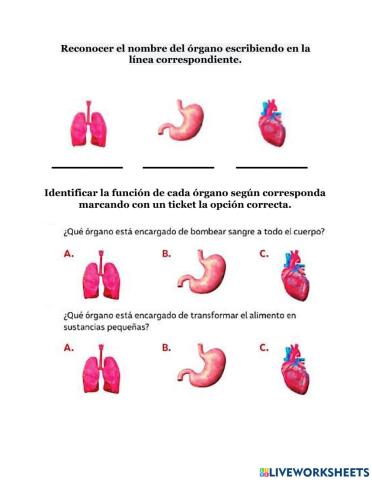 Evaluación 2 básico Ciencias Naturales