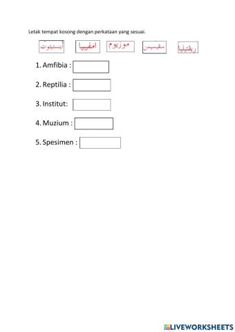 Kata pinjaman bahasa Inggeris