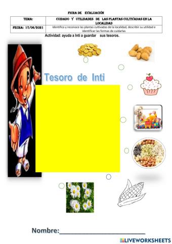 Utilidades  de las plantas