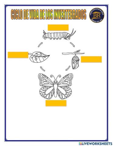 Ciclo de vida de los invertebrados