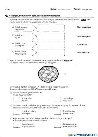 Bab 6 sokongan, pergerakan dan pertumbuhan