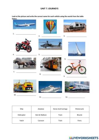 Pulse Unit 7 - Type of Transport
