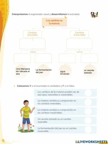 Cambios reversibles e irreversibles