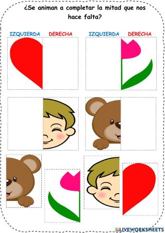 Lateralidad y simetria