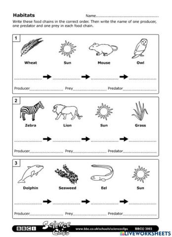 โซ่อาหาร