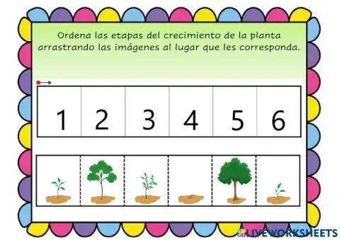 Ciclo de vida de una planta