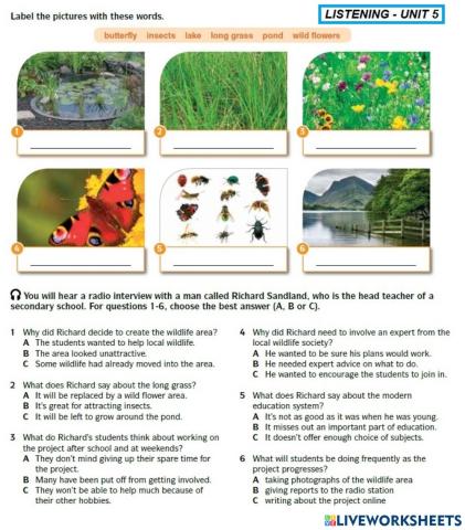 Listening Lesson F5-Unit 5