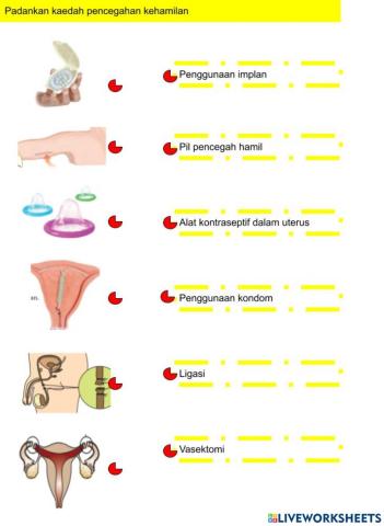 4.6.2.1 Membezakan kaedah pencegahan kehamilan