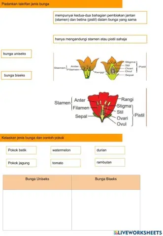 4.7.2.1 Proses pendebungaan