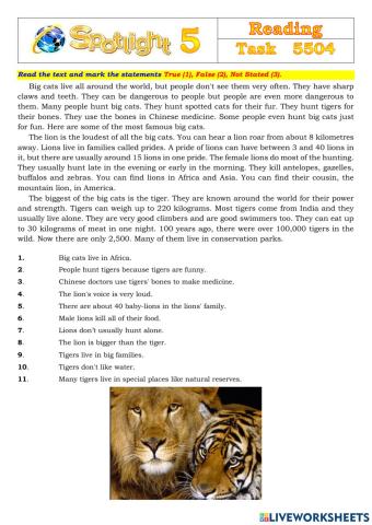 Spotlight 5 Task 5504